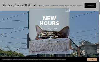 Veterinary Center of Buckhead website