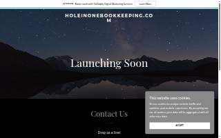 Hole In One Bookkeeping Atlanta website