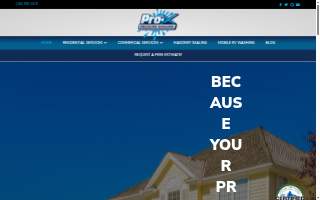 Pro x services website