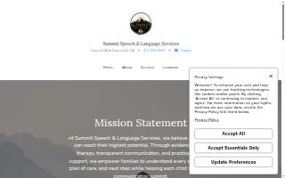 Naturalistic Speech & Language LLC website