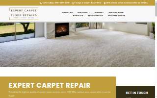 Expert Carpet Repair website