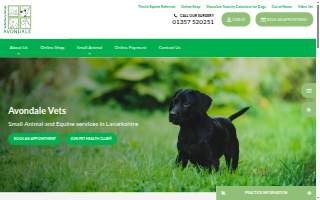 Avondale Veterinary Hospital website