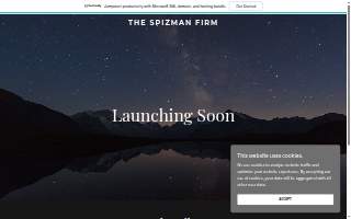 The Spizman Firm website