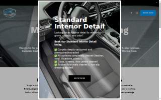 Mega Mobile Detailing LLC of Evans website