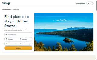 Savvy In Services, LLC website