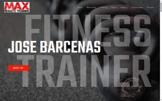 Max Results Training website