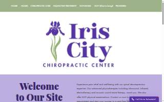 Iris City Chiropractic website