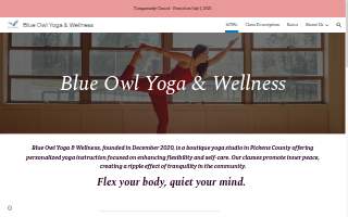 Blue Owl Yoga & Wellness website