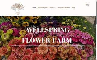 Wellspring Flower Farm website