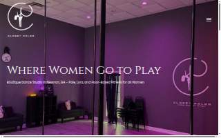 Closet Poler website
