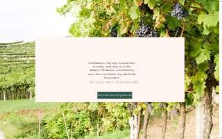 Paris Mountain Vineyards website