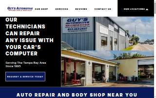 Automotive Professionals and Repair website