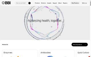BBI Design Solutions website