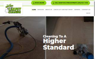Mean Steam Carpet Cleaning LLC website