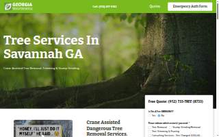 Georgia Tree Solutions Group, LLC website