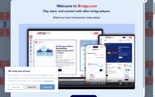 Bridge Tutoring & Educational Therapy website