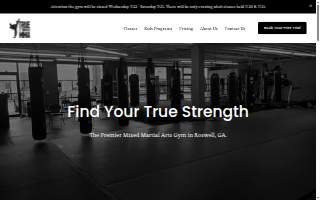 True Strength MMA website