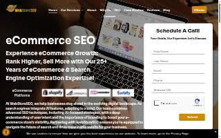 WebStoreSEO website