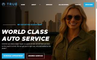 TRUE EURO Automotive Repair - Suwanee website
