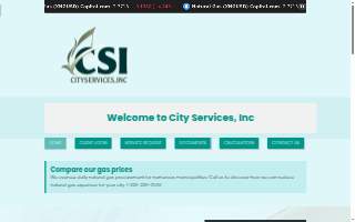 City Services Inc website