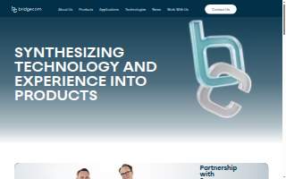 Bridgecom Real Security website