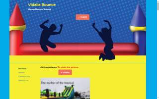 vidaliabounce website