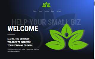 Help Your Small Biz website