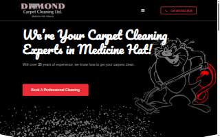 Diamond Carpet Cleaning and Services website