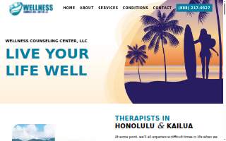 Wellness Counseling Center LLC website