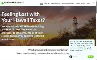 Hawaii Tax Filings LLC website