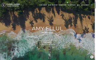 Amy Ellul, Maui Real Estate website