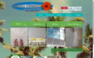 Ohana Cleanup, Carpet Cleaning & Power Wash website