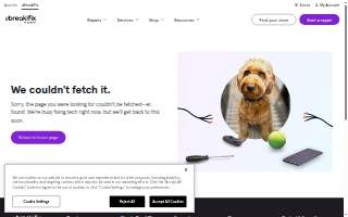uBreakiFix - Phone and Computer Repair of Pearl City website