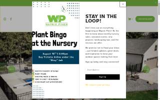 Wapsie Pines Pools website
