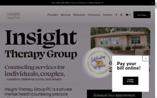 Insight Therapy Group website