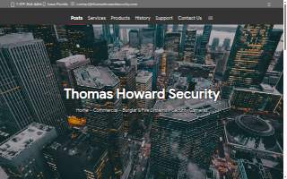 Thomas Howard Security of Clinton website