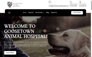 goosetown Animal Hospital website