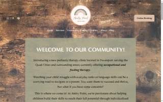 Amity Point, LLC website