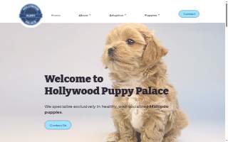 Hollywood Puppy Palace website