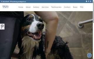 Hair Of The Dog website