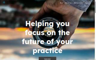 Central Vision Consulting website