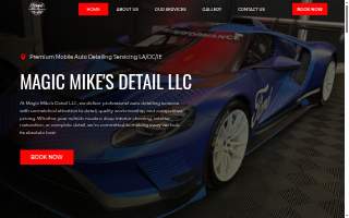 Magic Mike's Detail website