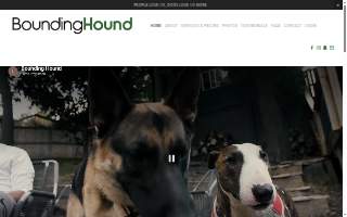 Bounding Hound website