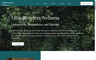 Little Wonders Wellness website