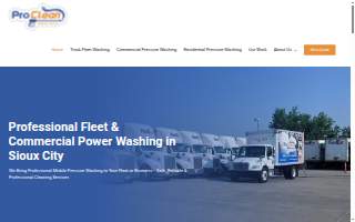 Pro Clean Mobile Wash website