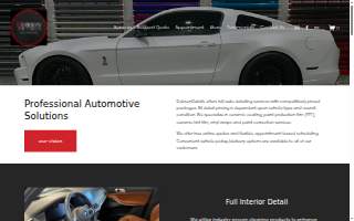 DobsonDetails Auto Detailing website