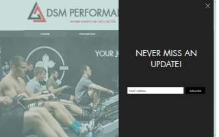 DSM Performance website
