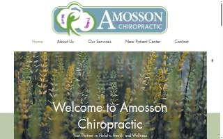 Amosson Chiropractic website