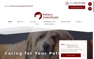 Wolfe Audiology website