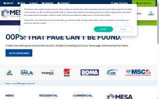 Mesa Moving and Storage: Boise website
